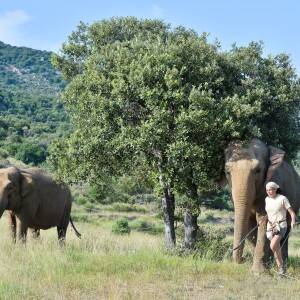 Exclusif - La princesse Stéphanie de Monaco a invité le 8 juillet 2015 le photographe Michael Alesi à un rendez-vous avec les éléphantes Baby et Népal, qu'elle a recueillies au domaine de Fonbonne en juillet 2013, à l'occasion des deux ans de leur sauvetage. L'occasion d'admirer une nouvelle fois la magnifique histoire d'amour entre la princesse et ses deux protégées, et de contribuer à leur sauvegarde en aidant l'association dédiée.