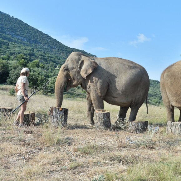 Exclusif - La princesse Stéphanie de Monaco a invité le 8 juillet 2015 le photographe Michael Alesi à un rendez-vous avec les éléphantes Baby et Népal, qu'elle a recueillies au domaine de Fonbonne en juillet 2013, à l'occasion des deux ans de leur sauvetage. L'occasion d'admirer une nouvelle fois la magnifique histoire d'amour entre la princesse et ses deux protégées, et de contribuer à leur sauvegarde en aidant l'association dédiée.