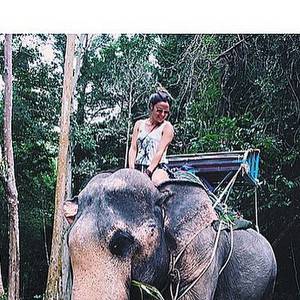 Capucine Anav critiquée à cause d'une balade à dos d'éléphant en Thaïlande, le 7 août 2015.