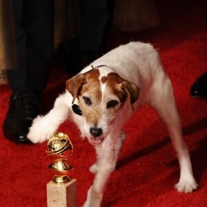 Uggie pose à Los Angeles, le 15 janvier 2012.