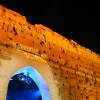 Jamel Debbouze - Ouverture du Festival Marrakech du Rire 2015. Le 13 juin 2015 à Marrakech  