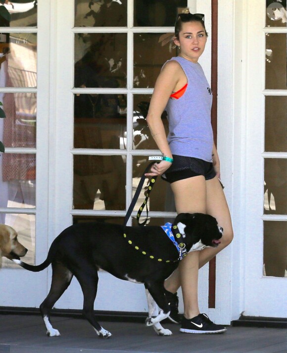 Exclusif - Miley Cyrus se promène avec une amie et leurs chiens respectifs à Calabasas, le 4 août 2015. 