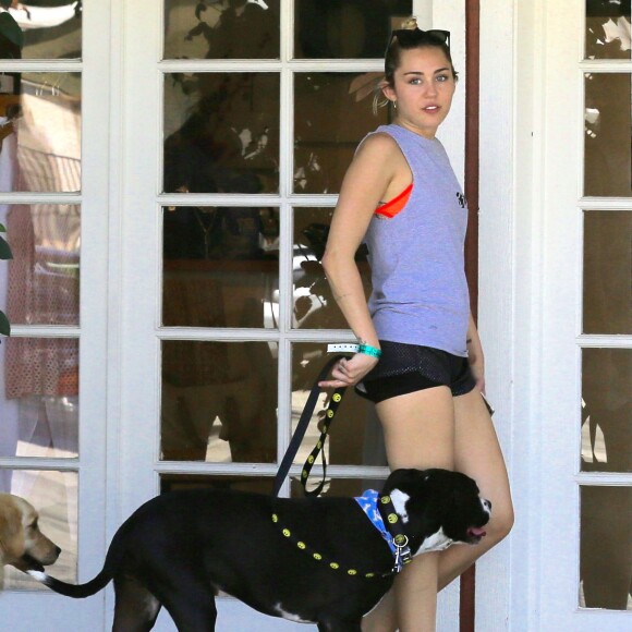 Exclusif - Miley Cyrus se promène avec une amie et leurs chiens respectifs à Calabasas, le 4 août 2015. 