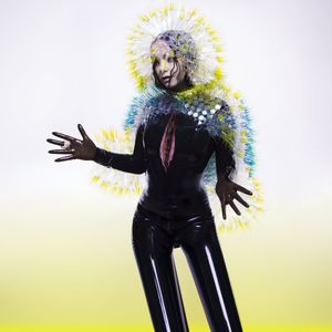 Björk, l'album "Vulnicura". Pochette et graphisme signé M/M (Paris). Sorti en 2015.