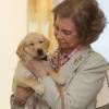 La reine Sofia d'Espagne au 25e anniversaire de la branche chiens guides d'aveugle de la Fondation ONCE le 24 septembre 2015 à Madrid.