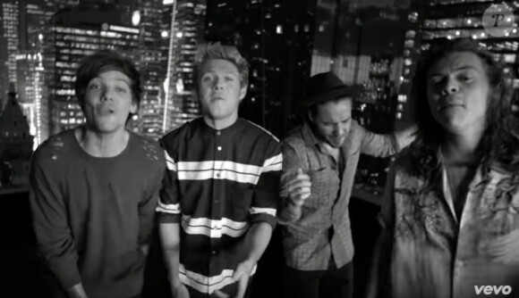 Les One Direction - Clip de Perfect