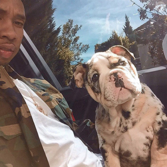 Tyga et Rolly en voiture à Los Angeles. Photo publiée le 25 octobre 2015.