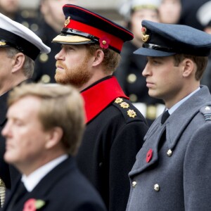 Le prince Harry et le prince William lors des cérémonies du "Remembrance Day" au Cénotaphe de Whitehall à Londres, le 8 novembre 2015
