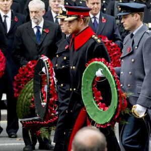 Le prince Harry et le prince William lors des cérémonies du "Remembrance Day" au Cénotaphe de Whitehall à Londres, le 8 novembre 2015