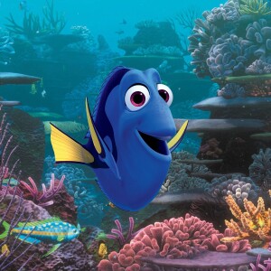 Bande-annonce du film Le Monde de Dory, en salles le 29 juin 2016.