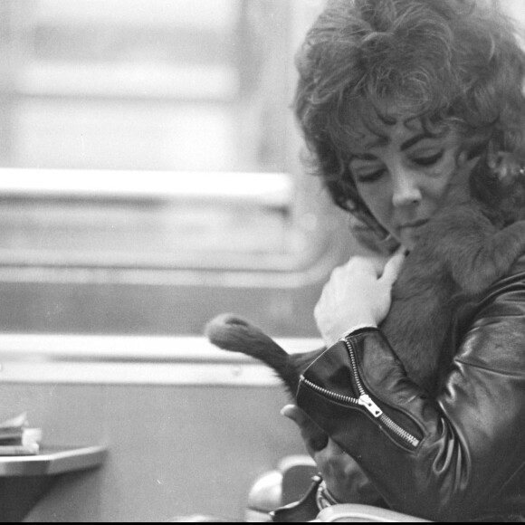Elizabeth Taylor dans un train Paris Milan en 1971.
