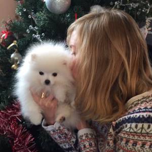 Enora Malagré a reçu un chiot pour Noël, le 25 décembre 2015.