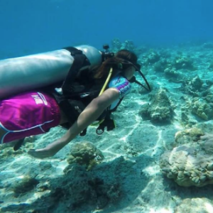 Marine Lorphelin à Tahiti, le 31 décembre 2015.