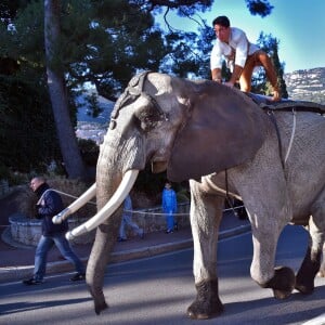 La princesse Stéphanie de Monaco participe à l'Open Air Circus Show à Monaco le 16 janvier 2016. Pour la 40e édition du Festival International du Cirque de Monte Carlo, une Parade a traversé la Principauté en partant du chapiteau Fontvieille pour terminer Place du Palais. Pendant plus d'une heure et demie une partie des artistes a offert au public venu en nombre, un aperçu du spectacle qui se déroule en principauté jusqu'au 24 janvier. © Bruno Bebert / Bestimage