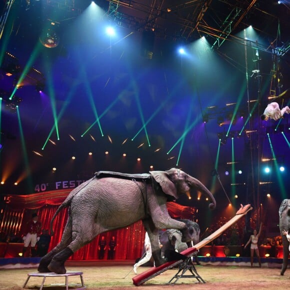 Image de la 3e soirée du 40e Festival International du Cirque de Monte-Carlo, le 16 janvier 2016 au chapiteau de Fontvieille à Monaco. © Eric Mathon / Pool Monaco / Bestimage