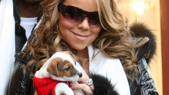 Mariah Carey : Grand train de vie pour ses chiens...
