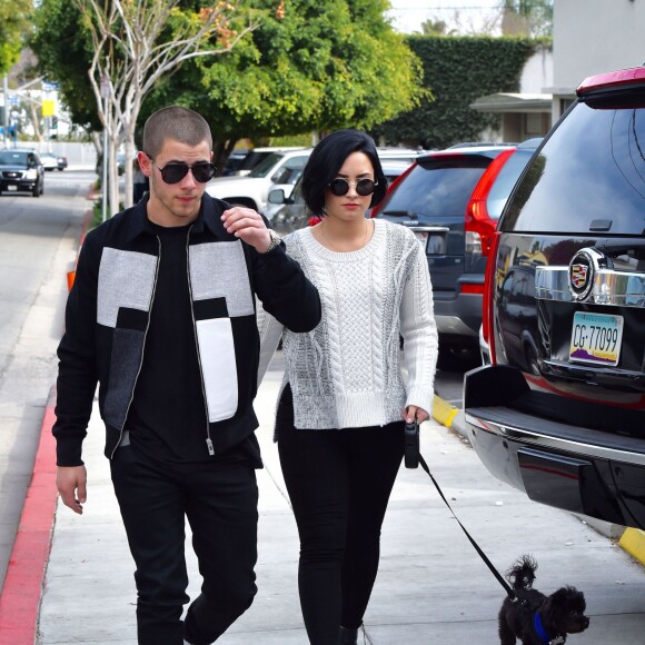 Demi Lovato promène son chien dans les rues de West Hollywood en compagnie de Nick Jonas. Les deux chanteurs seront prochainement sur scène avec leur tournée "Future Now Tour", qui débutera en juin en Floride. Le 27 janvier 2016