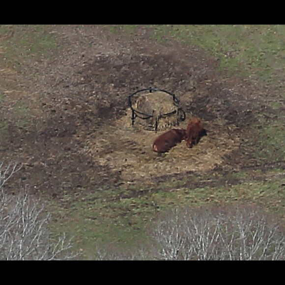 Exclusif - Illustrations de vues aériennes du refuge pour animaux sauvages - Nicole Kidman et son mari Keith Urban ont secrètement acheté un refuge pour animaux sauvages près de Leiper's Fork dans le Tennessee. Nicole et Keith, très engagés dans la protection de la nature et des animaux, passent beaucoup de temps dans leur ferme, où ils vivent avec leurs filles Faith et Sunday Rose. Le 9 février 2016.