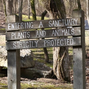 Exclusif - Illustrations de vues aériennes du refuge pour animaux sauvages - Nicole Kidman et son mari Keith Urban ont secrètement acheté un refuge pour animaux sauvages près de Leiper's Fork dans le Tennessee. Nicole et Keith, très engagés dans la protection de la nature et des animaux, passent beaucoup de temps dans leur ferme, où ils vivent avec leurs filles Faith et Sunday Rose. Le 9 février 2016.