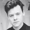 Harry Styles est méconnaissable !