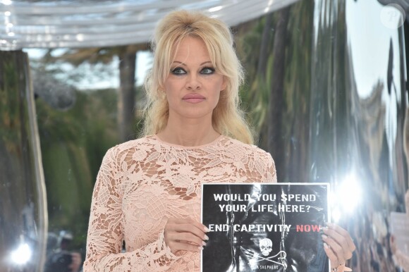 Pamela Anderson lors d'une conférence de presse à Cannes pour dénoncer "l'enfer des delphinariums" lors du 69ème Festival International du Film de Cannes le 14 mai 2016