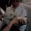 Alex Haditaghi a publié sur sa page Instagram une photo de Justin Bieber en train de nourrir son bébé lion blanc au biberon dans les coulisses de son concert à Toronto. Mai 2016