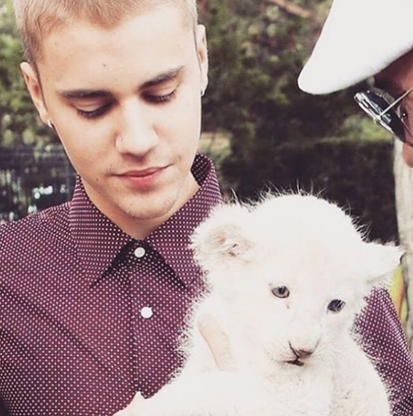 Justin Bieber s'amuse avec un bébé lion lors de la fête de fiançailles de son père. Photo publiée sur Instagram en mai 2016