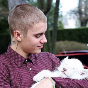 Justin Bieber s'amuse avec un bébé lion lors de la fête de fiançailles de son père. Photo publiée sur Instagram en mai 2016