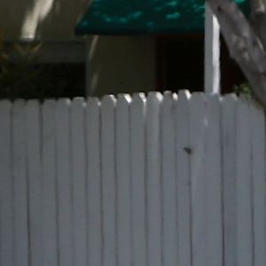 Exclusif - Kesha et son compagnon Brad Ashenfelter se baladent à vélo à Los Angeles le 1er mai 2016. © CPA / Bestimage