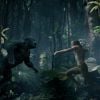 Image du film Tarzan en salles le 6 juillet 2016