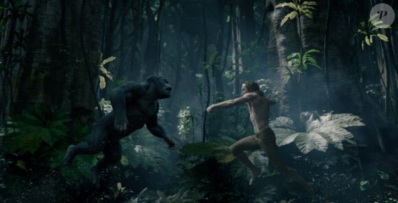 Image du film Tarzan en salles le 6 juillet 2016