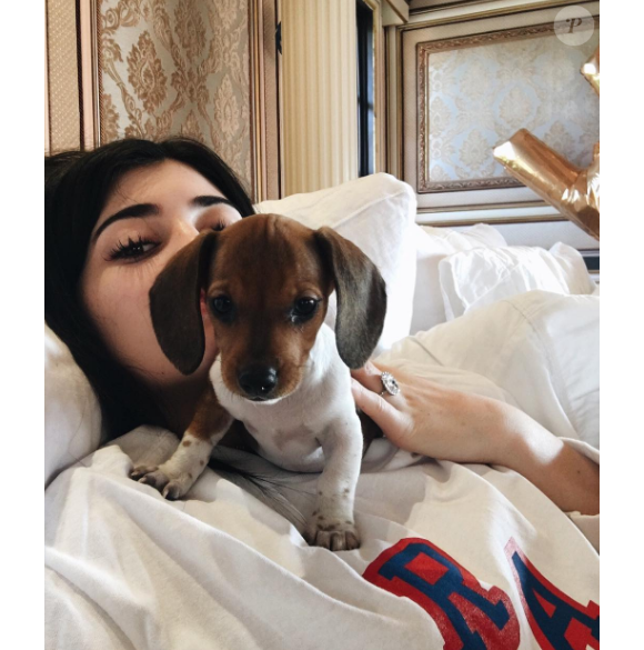 Kylie Jenner a un nouveau chien. Le chiot s'appelle Penny. Photo publiée sur Instagram, le 30 juillet 2016