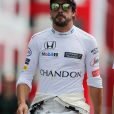 Fernando Alonso lors du Grand Prix d'Allemagne fin juillet 2016 © Photo4 / LaPresse