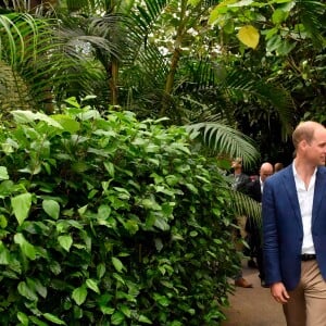 Kate Middleton et le prince William lors de leur visite de l'Eden Project, un complexe environnemental en Cornouailles, le 2 septembre 2016.