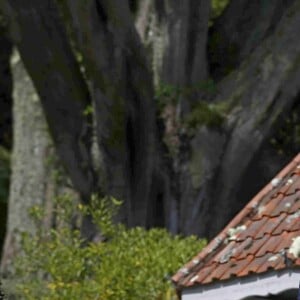 Le prince William, duc de Cambridge, et Kate Middleton, duchesse de Cambridge posent devant la Shell House pendant leur visite du jardin de l'abbaye à Tresco sur les îles Scilly le 2 septembre 2016.