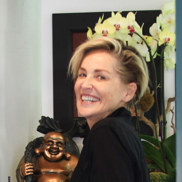Sharon Stone rencontre David Geffen dans un salon de manucure à Beverly Hills, le 31 août 2016