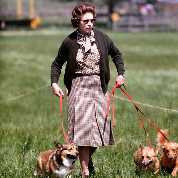 La reine Elizabeth II avec ses corgis et dorgis en 1980 à Windsor.