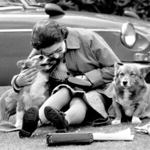 La reine Elizabeth II en pleins câlins avec ses corgis en 1973 lors de championnats équestres à Windsor.