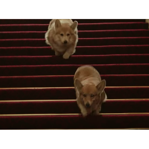 Les corgis de la reine Elizabeth II faisaient de la figuration dans le court métrage dont elle était la star avec le James Bond Daniel Craig en ouverture des JO de Londres 2012.