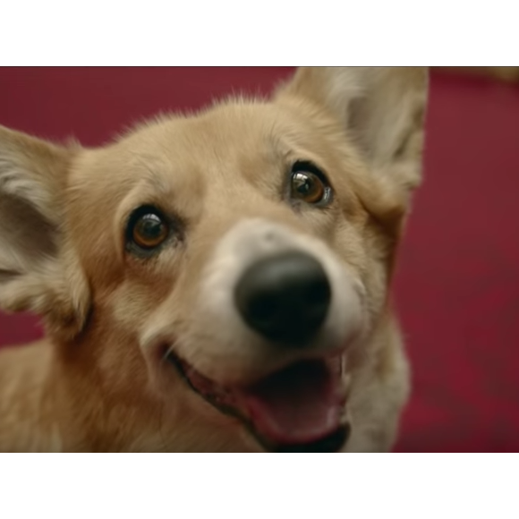 Les corgis de la reine Elizabeth II faisaient de la figuration dans le court métrage dont elle était la star avec le James Bond Daniel Craig en ouverture des JO de Londres 2012.