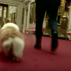 Les corgis de la reine Elizabeth II faisaient de la figuration dans le court métrage dont elle était la star avec le James Bond Daniel Craig en ouverture des JO de Londres 2012.