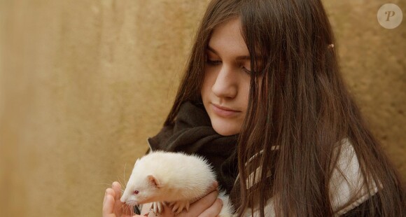 Image du film Faeryland
