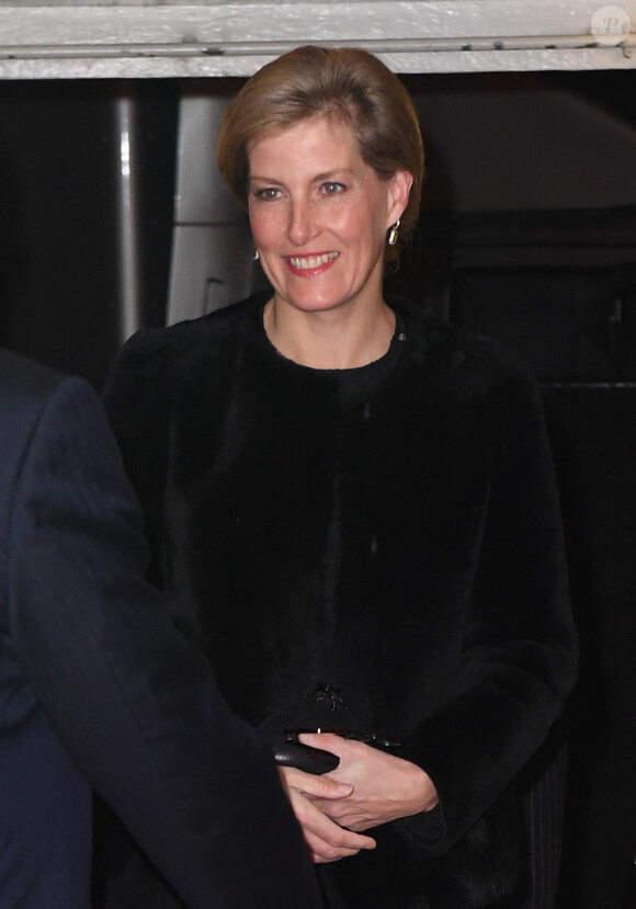 La comtesse Sophie de Wessex lors de la soirée du Festival Royal du Souvenir, dédié à la commémoration des victimes de guerres, au Royal Albert Hall à Londres, le 12 novembre 2016.