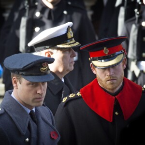 Le prince William, le prince Harry et le prince Andrew se recueillant au Cénotaphe de Whitehall le 13 novembre 2016 à Londres, lors des commémorations du Dimanche du Souvenir (Remembrance Sunday).