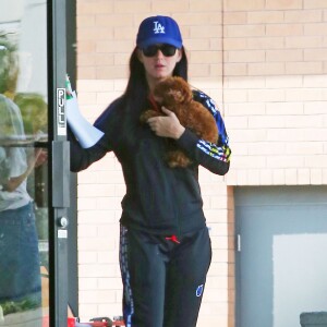 Exclusif - Katy Perry vient d'adopter un petit caniche à Los Angeles, le 14 octobre 2016