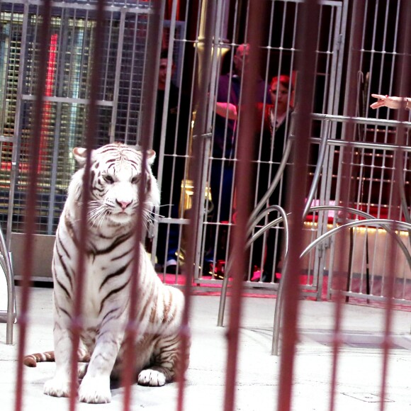 Exclusif - Alizée - 53e Gala de l'Union des artistes, mise en scène par Claude Lelouch au Cirque d'Hiver Bouglione, enregistré le 13 juin 2016. Diffusion sur France 2, le mardi 22 novembre à 20h55. @Dominique Jacovides/Bestimage