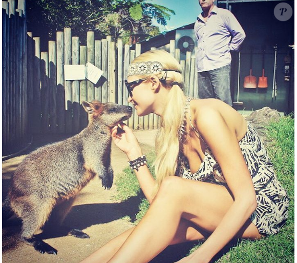 Paris Hilton en Australie, s'amuse avec un kangourou. Photo publiée sur Instagram le 15 novembre 2016