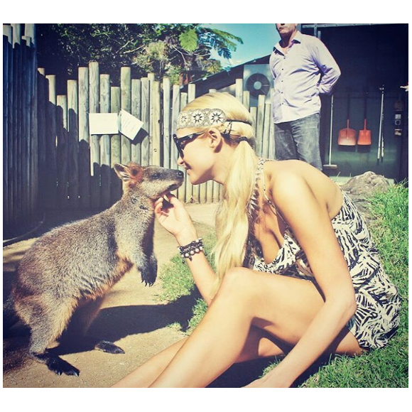 Paris Hilton en Australie, s'amuse avec un kangourou. Photo publiée sur Instagram le 15 novembre 2016