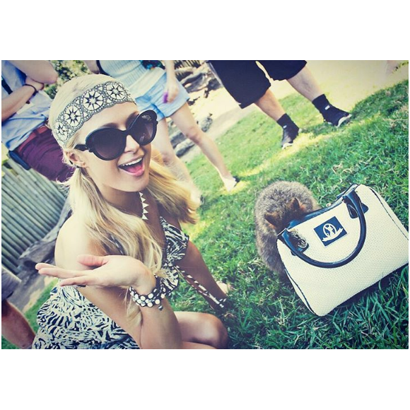 Paris Hilton en Australie, s'amuse avec un kangourou. Photo publiée sur Instagram le 15 novembre 2016