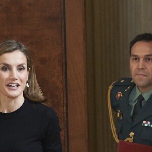 La reine Letizia et le roi Felipe VI d'Espagne recevaient en audience au Palais de la Zarzuela à Madrid le 18 novembre 2016 une délégation de la TVE à l'occasion des 60 ans de la société de télévision publique. © Jack Abuin/Zuma Press/Bestimage